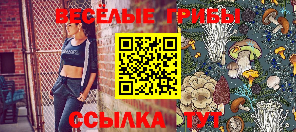 Где найти наркотики?  Каннабис  Конопля  Пенза  МДМА  Лсд 25  МЕФ   Cocaine  Вход с VPN  ГАШ  Метадон 
