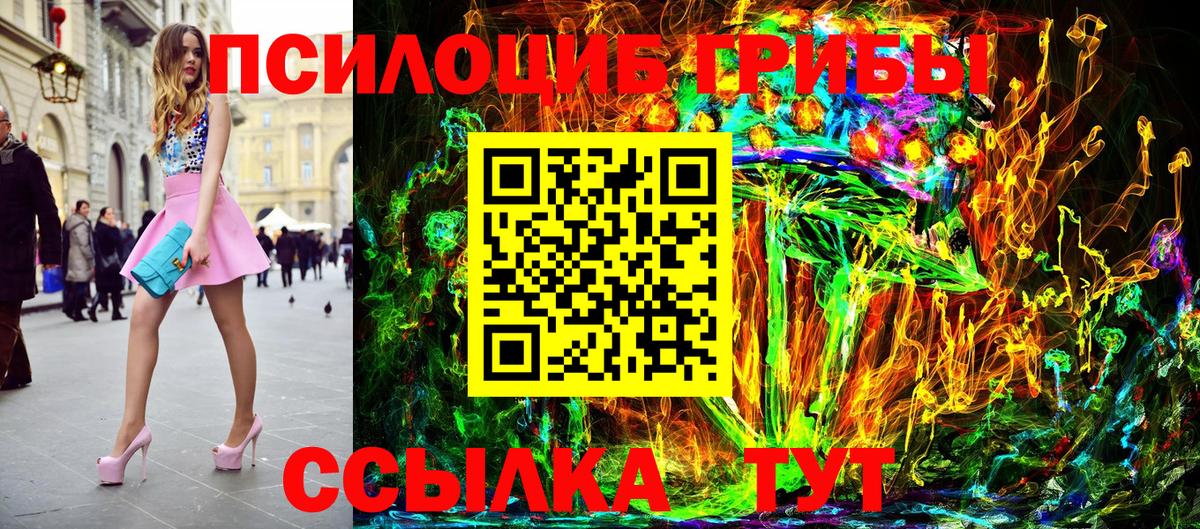 Галлюциногенные грибы Cubensis Пенза