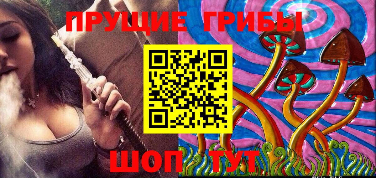 Пенза  Псилоцибиновые грибы GOLDEN TEACHER  Вход с VPN 